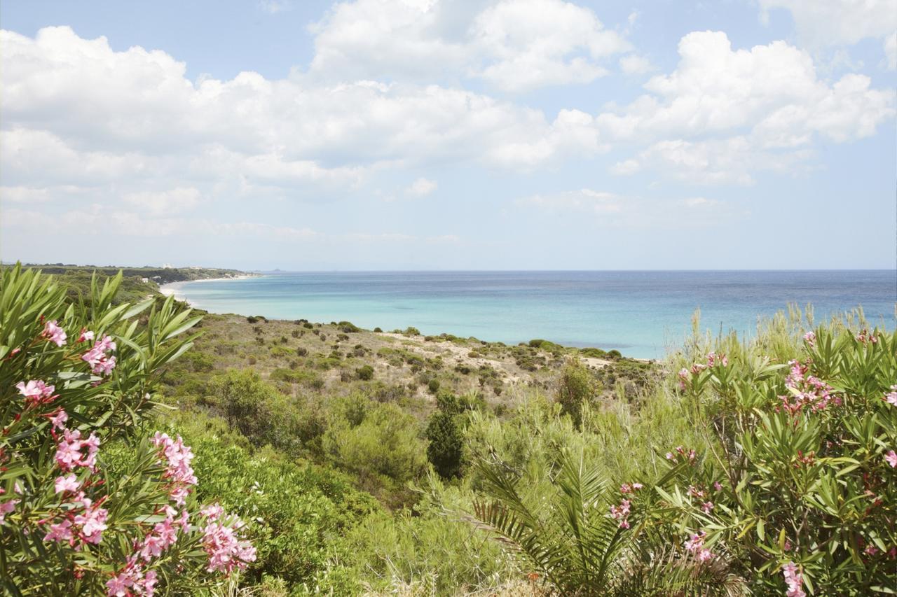 פולה Pinus Village Sea Front Apartment מראה חיצוני תמונה